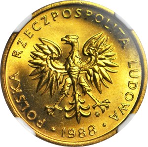 5 gold 1988, mint