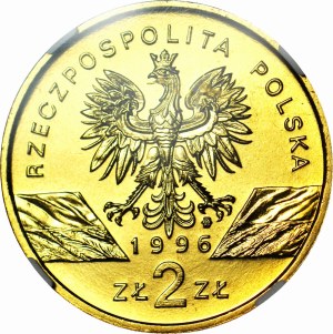 2 gold 1996, Hedgehog, minted
