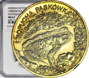 2 gold 1997, 2 gold 1998, Striped Toad, minted