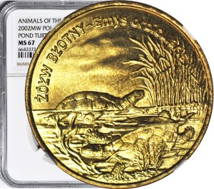 2 Gold 2002 Swamp Turtle,, minted