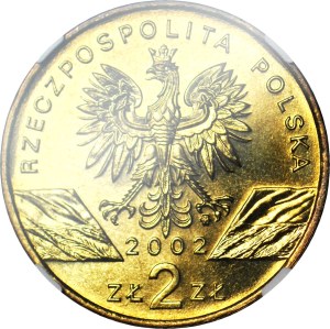 2 Gold 2002 Swamp Turtle,, minted