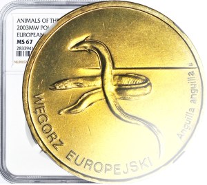 2 Gold 2003, European Eel, minted