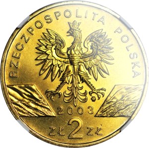 2 Gold 2003, European Eel, minted