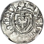 Zakon Krzyżacki, Marcin Truchsess von Wetzhausen 1477-1489, Szeląg