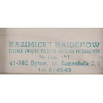 Kazimierz Najdenow (1914 Bytom - 1996), Pejzaż górski