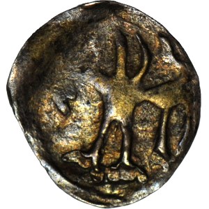 RR-, Pomorze zachodnie, Uznam, Denar XIV w., Hełm z piórami/ Gryf