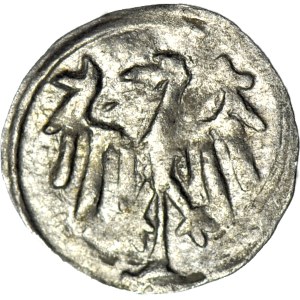 Schlesien, Georg von Podiebrad 1454-1462, Halerz ohne Datum, Löwe/Adler, Münze, R5, dicke Adlerfedern