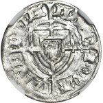 Teutonic Order, Michal Küchmeister von Sternberg 1414-1422, Sable, shield on long cross