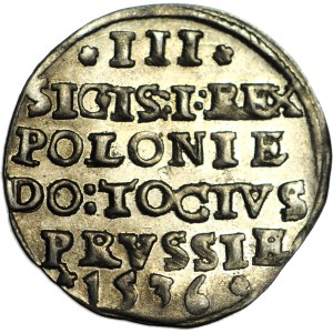 R-, Sigismund I the Old, Trojak 1536, Elblag, ELBINK, minted