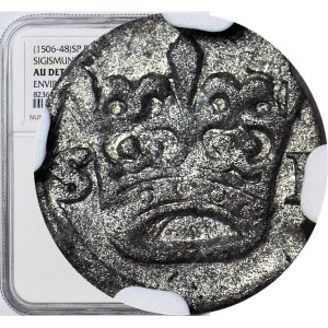 RR-, Sigismund I the Old, Denarius without date, Cracow, Narrow Crown, WITHOUT SIGN, R7