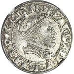 R-, Sigismund II Augustus Grosz per Lithuanian foot 1546, Vilnius, magnificent
