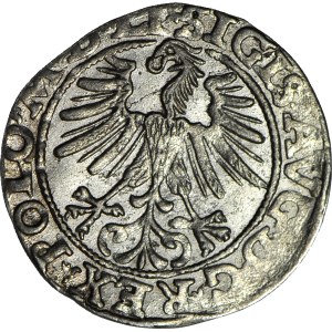 Žigmund II August, pologram 1563, Vilnius, TOPOR, krásny