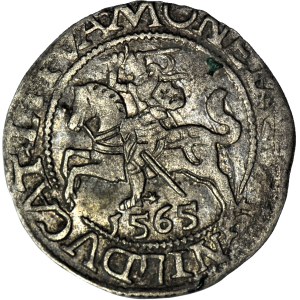 Zygmunt II August, Półgrosz 1565, Wilno, Topór