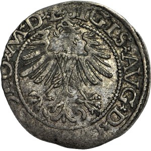 Zygmunt II August, Półgrosz 1565, Wilno, Topór