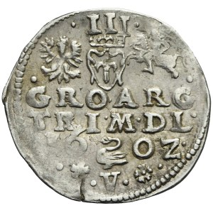 Sigismund III. Vasa, Trojak 1602, Vilnius, Schwan, sehr selten