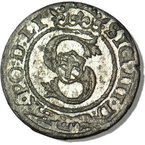 Zikmund III Vasa, 1595 Shelly, Riga, raženo