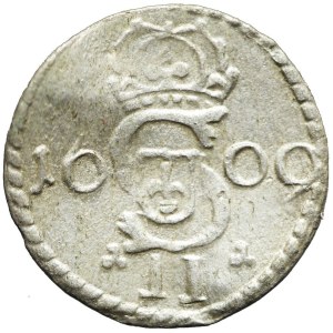 Sigismund III Vasa, Dwudenar 1609, Vilnius