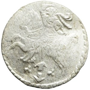 Sigismund III Vasa, Dwudenar 1609, Vilnius