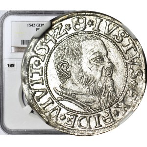 Duchy of Prussia, Albrecht Hohenzollern, 1542 penny, Königsberg, minted