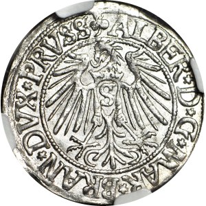 Duchy of Prussia, Albrecht Hohenzollern, 1542 penny, Königsberg, minted