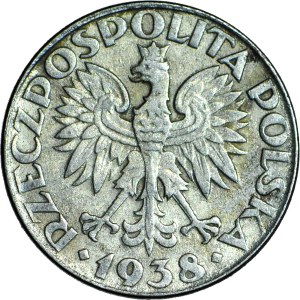 RR-, 50 pennies 1938 nickel plated, G away from R in GROSZY (5% of population) beautiful and rare, additionally without mark