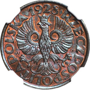 5 pennies 1928, BN color, minted
