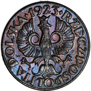1 grosz 1923, menniczy, wspaniały
