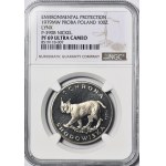 100 Gold 1979, Lynx on grass, SAMPLE NIKIEL, first time on Onebid in PF69!!!!