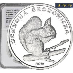 500 Gold 1985, Squirrel, SAMPLE, NIKIEL