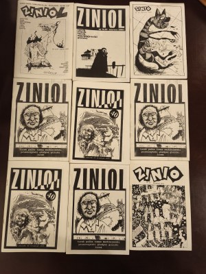 More than 40 issues of Zinio from 1998-2004.