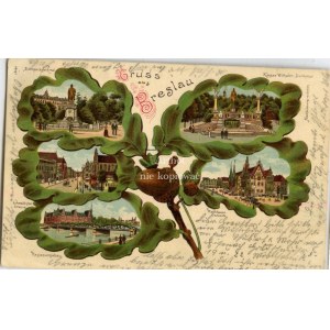 Wrocław, Breslau, Gruss aus …(liście dębu z widokami miasta)