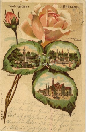 Breslau, Wroclaw, city views on rose leaves
