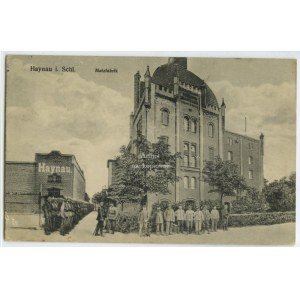 Chojnów, Haynau, Malzfabrik (słodu do produkcji piwa)
