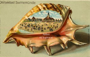 Swinoujscie, view of the beach and build in the shell