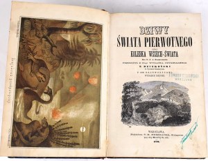 DZIEKOŃSKI- THE WONDERS OF THE FIRST WORLD or THE COLLECTION OF THE EVERYWHERE published in 1872. 268 woodcuts