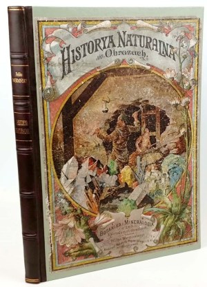 WERMIŃSKI - NATURAL HISTORY IN IMAGES Botany and mineralogy 269 colored pictures 1893 FOLIO