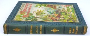 WILKOMM - ATLAS OF PLANT STATE color plates, woodcuts