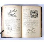 LIPIŃSKI - ARCHEOLOGIA BIBLIJNA judaica