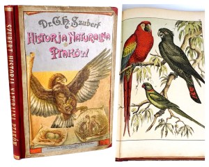SCHUBERT-NATURAL HISTORY OF BIRDS publ. 1900 plates