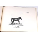 CZAPSKI - HISTORYA POWSZECHNA KONIA. ATLAS reprint