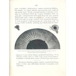 BAYER- ASTRONOMIA POPULARNA wyd. 1861