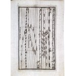 [ASTRONOMIA. BARDZO RZADKIE DZIEŁO. KOPERNIK ] WILCZEK - LEHR-SATZ VON DER LAGE DER ERDEN. Cz.1-2 [w 1 wol.] 1764