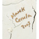 Marek Cecuła, Imperfection, 2007