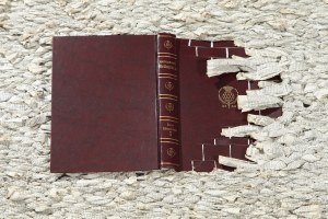 Maria Wegrzyniak-Szczepkowska, Encyclopedia, 2016