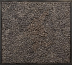 Jadwiga Maziarska, Relief, lata 60. XX w.