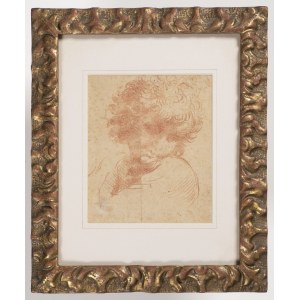 Italian, 17th Century, Head of a Boy with Curly Hair
