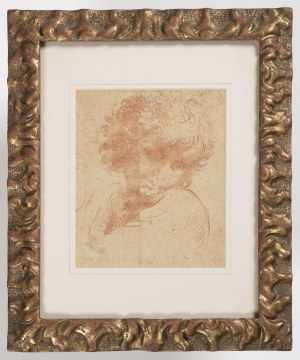 Italian, 17th Century, Head of a Boy with Curly Hair