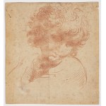 Italian, 17th Century, Head of a Boy with Curly Hair