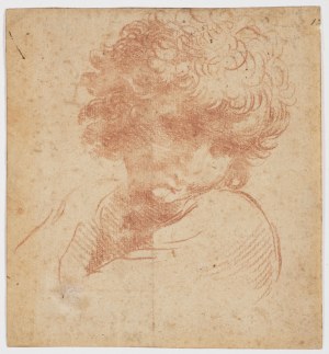Italian, 17th Century, Head of a Boy with Curly Hair
