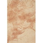 Italian, 17th Century, Head of a Boy with Curly Hair
